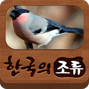 한국의조류  앱